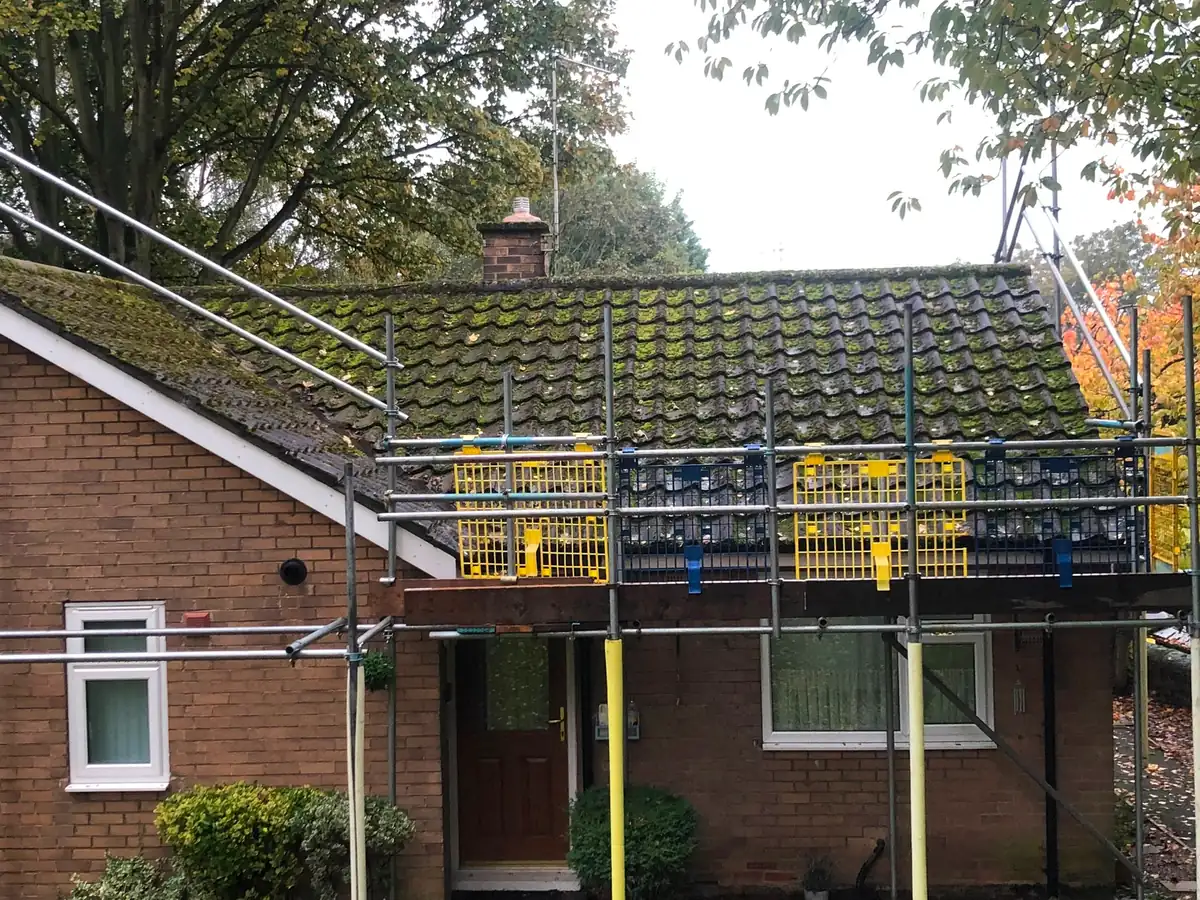 A bungalow roof covered in thick moss, scaffold to one side.
