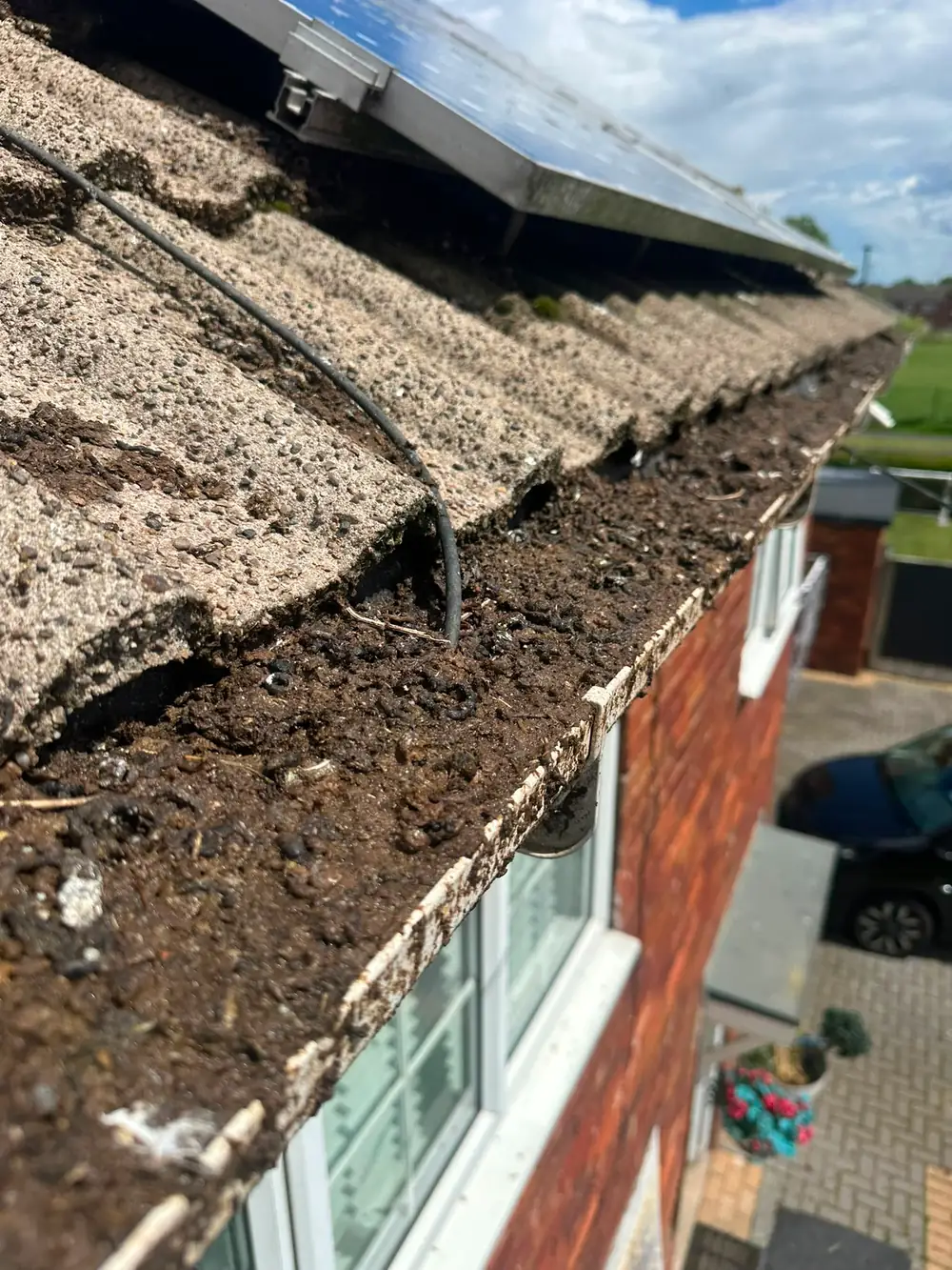 A gutter packed solid with soil beneath solar panels.