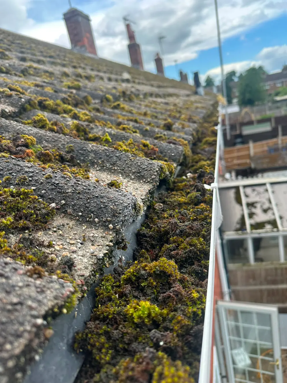 A tiled roof with heavy moss growth along the laps.