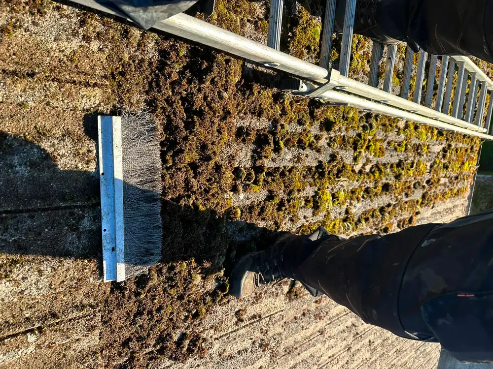 Moss being scraped from roof tiles.