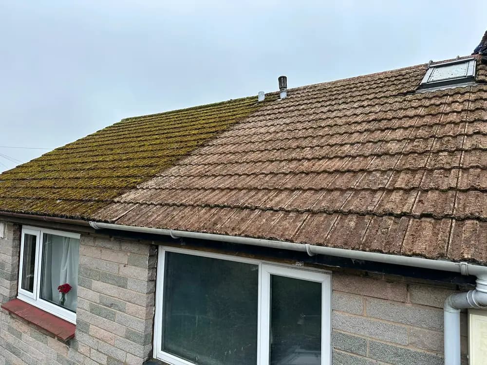 A roof caught halfway through a moss clean.