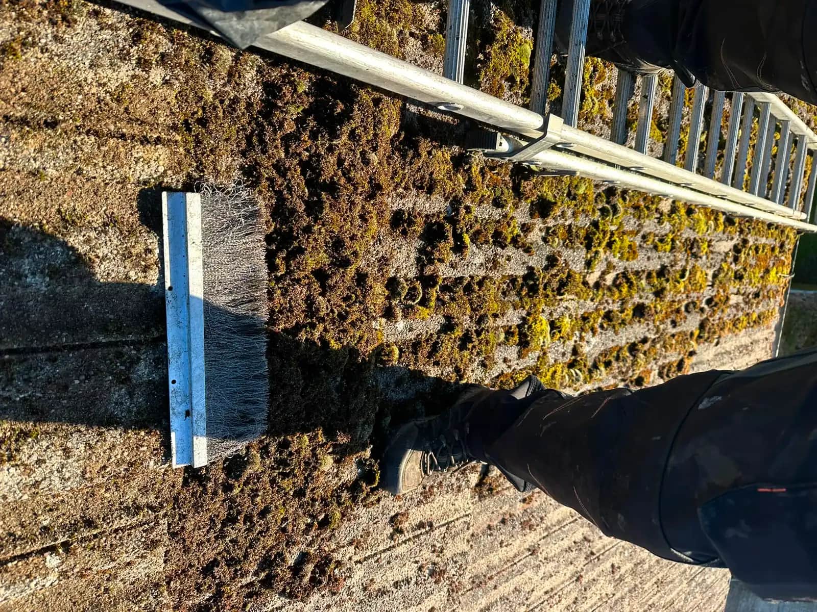 Moss being scraped from a tiled roof.