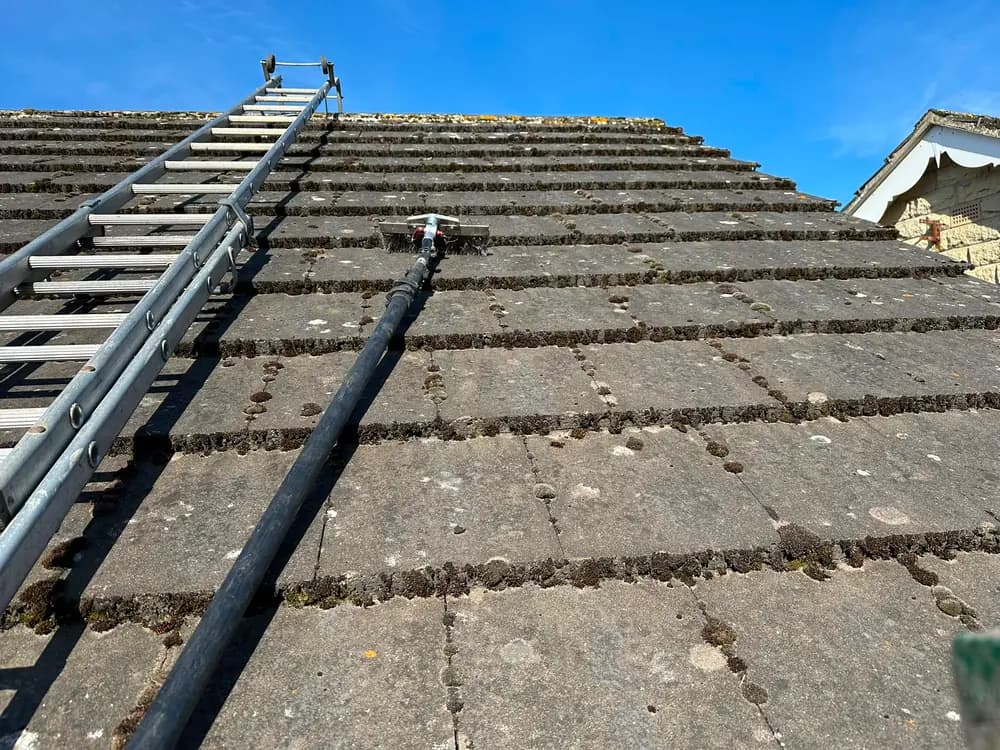 A rotary brush head part way through roof cleaning on a mossy roof.