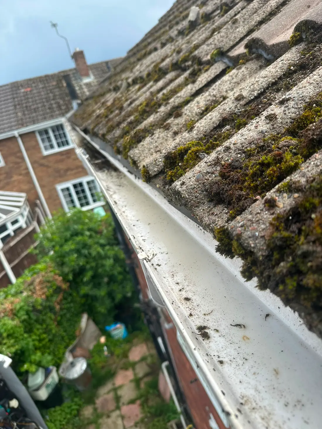 A mossy roof above a conservatory, the two meeting at the gutter line.